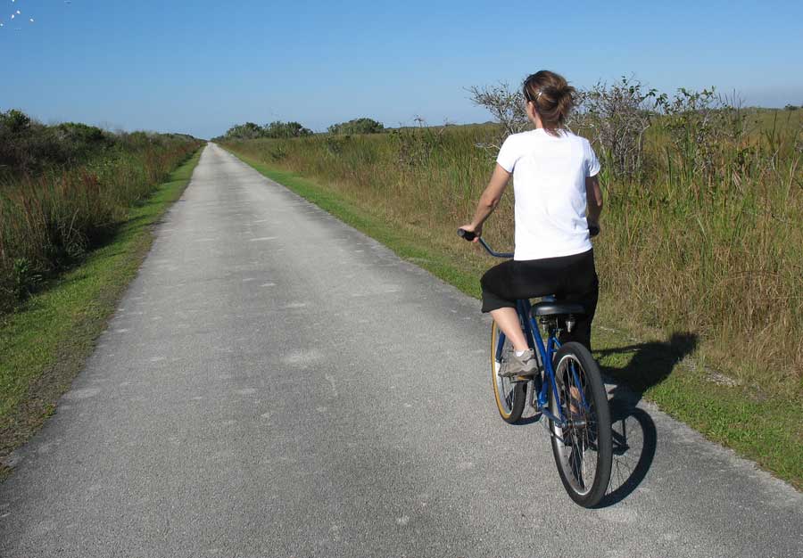 Ciclistas en la carretera En las carreteras convencionales debemos prever que los ciclistas pueden estar en nuestro punto muerto.