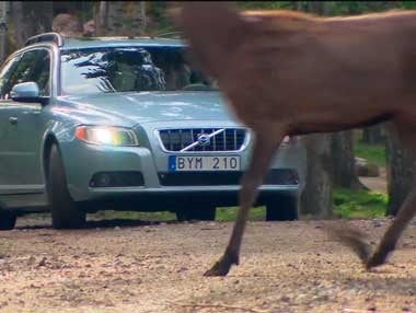 Volvo: nuevo sistema de seguridad Volvo: nuevo sistema de seguridad