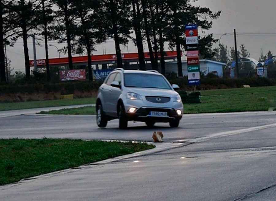 Vídeo prueba del SsangYong Korando G20D bi-fuel GLP Vídeo prueba del SsangYong Korando G20D bi-fuel GLP