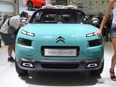Vídeo: el Cactus pierde el techo en Frankfurt 2015 Vídeo: el Cactus pierde el techo en Frankfurt 2015