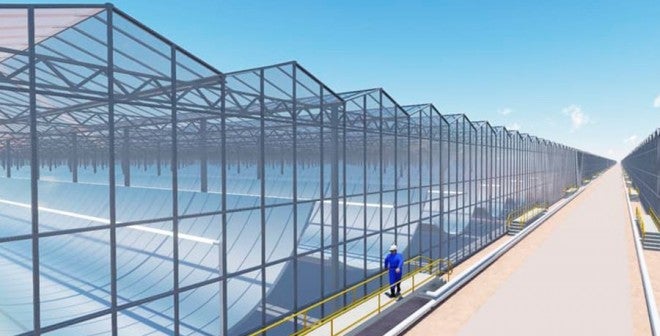 Planta solar para producir petróleo Planta solar para producir petróleo