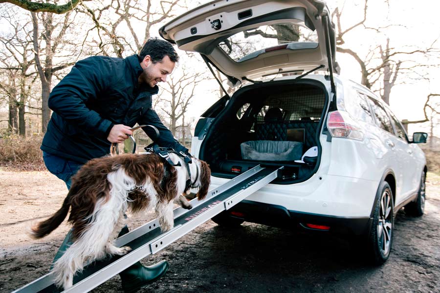 Las mascotas distraen al 25% de los conductores Las mascotas distraen al 25% de los conductores
