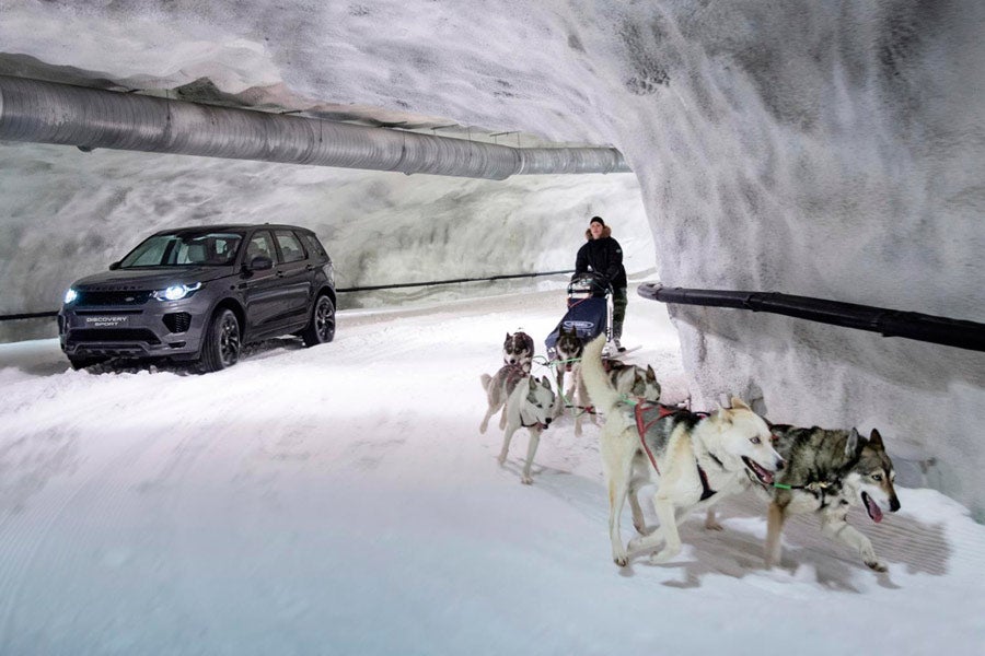 Huskies vs. Discovery Sport, ¿quién ganará el reto más invernal? Huskies vs. Discovery Sport, ¿quién ganará el reto más invernal?