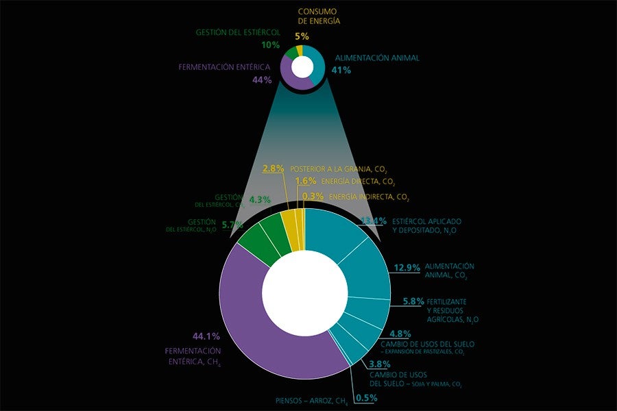 Distintas fuentes de las emisiones de la ganadería según FAO.
