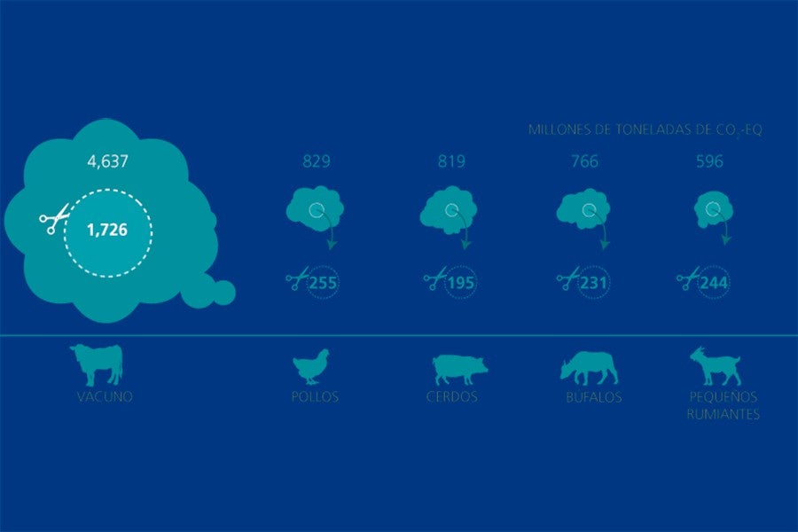 Informe de FAO sobre la posibilidad de mitigación de las emisiones mejorando la eficiencia.
