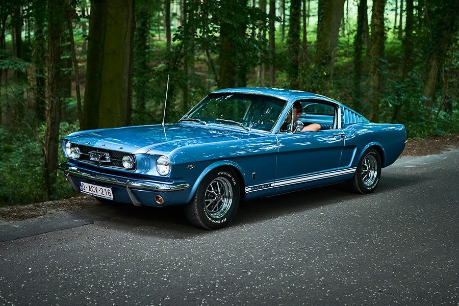 Regala un Mustang por Navidad Regala un Mustang por Navidad