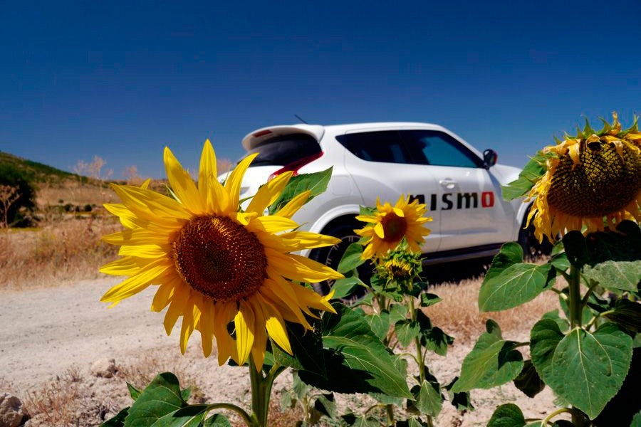 Cómo preparar el coche para la primavera Cómo preparar el coche para la primavera
