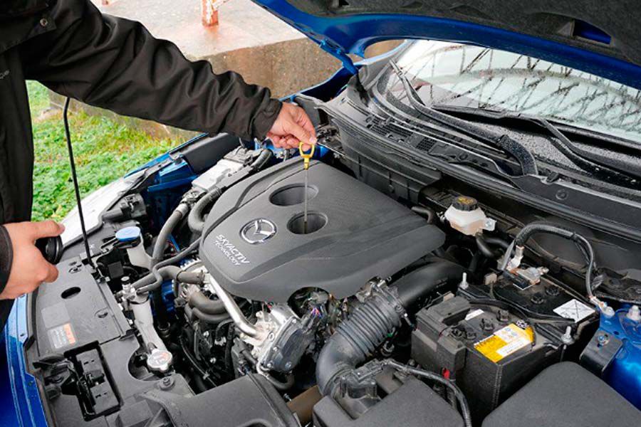 Cómo revisar el nivel de aceite del coche? - Electro auto Cangas
