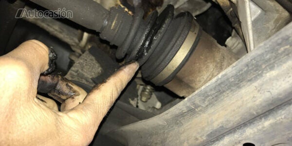 que es el guardapolvo